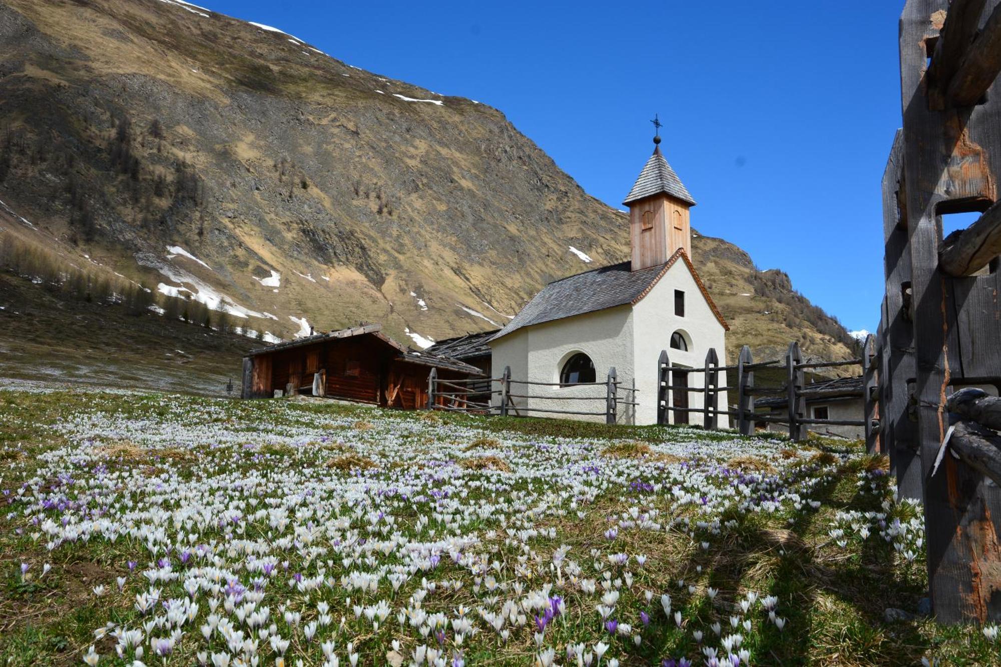 B&B Hotel Alpenrose Rooms & Apartments Valles Exterior foto